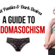 sadomasochism
